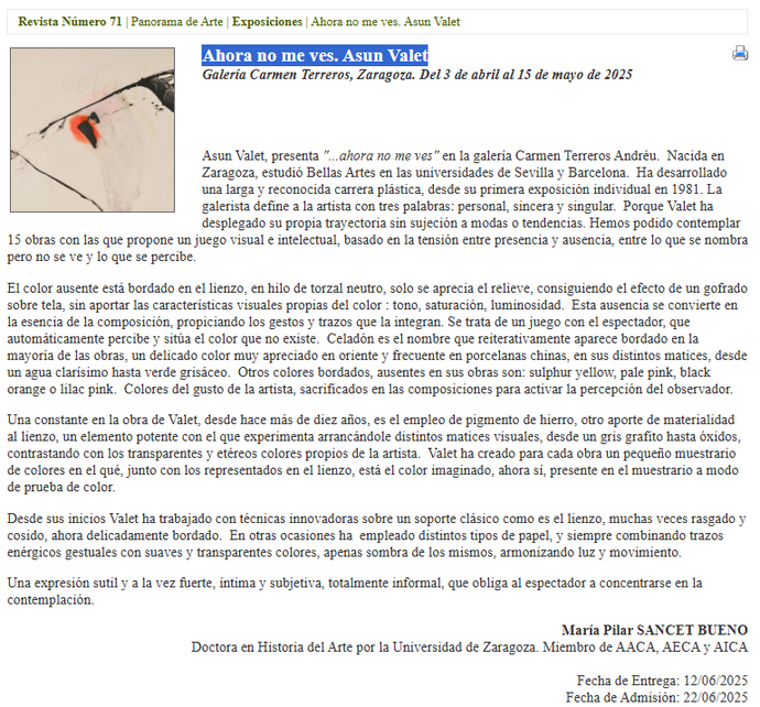 AACA - Ahora no me ves. Asun Valet en Galería Carmen Terreros