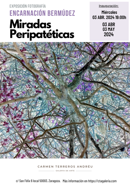 NOTA PRENSA. miércoles 3 de abril a las 19h. - Inauguración exposición de fotografía “Miradas peripatéticas” de la artista Encarnación Bermúdez, en Galería de arte Carmen Terreros